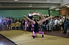 img_0333.jpg